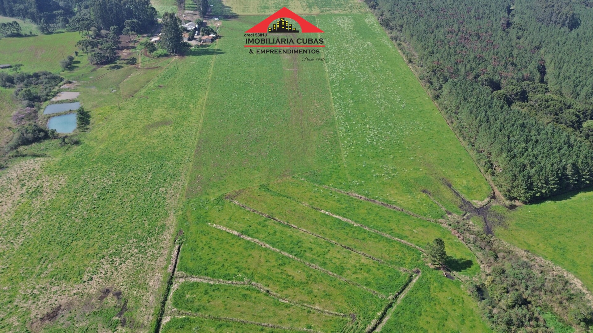 DJI_0865